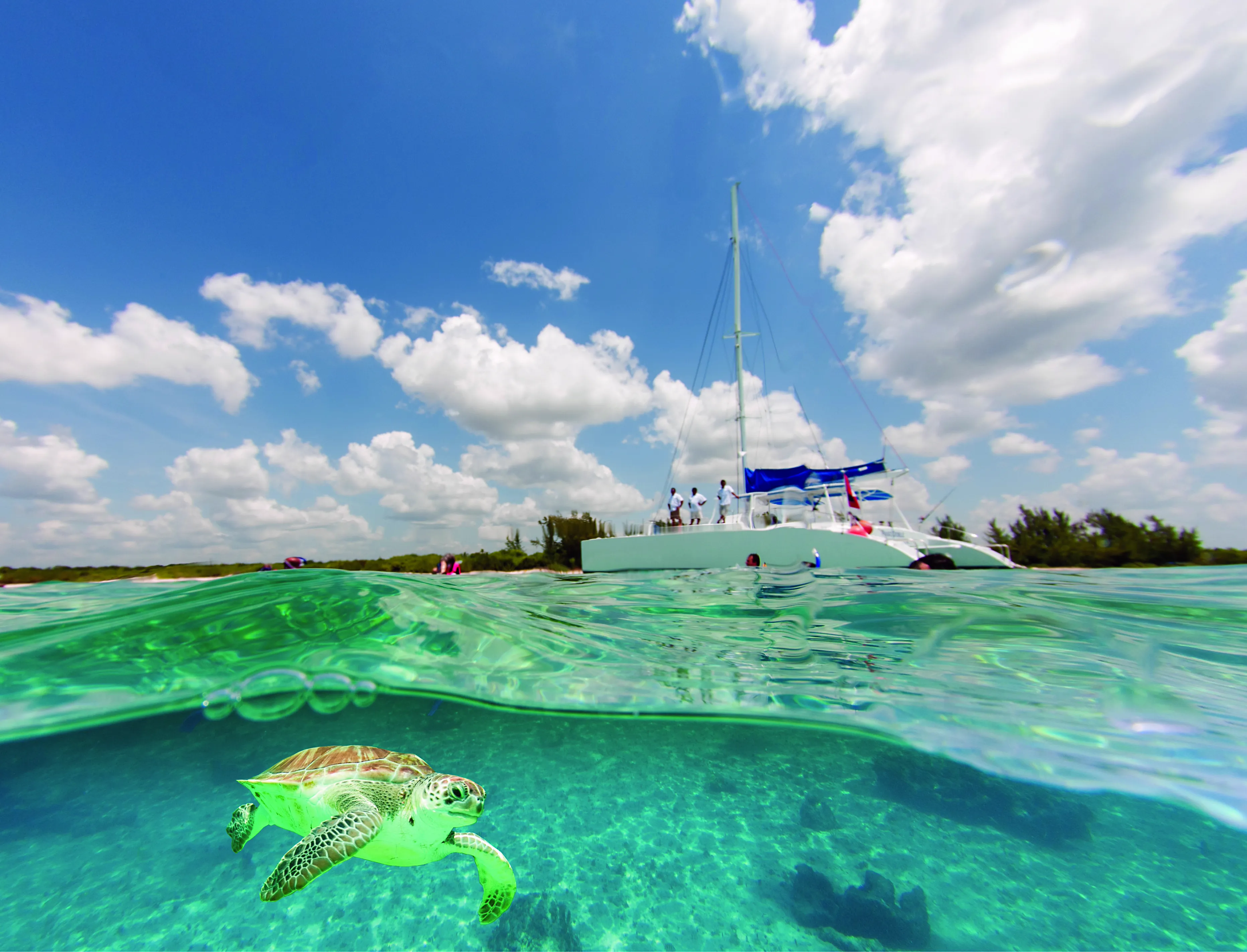 Paso Doble Catamaran