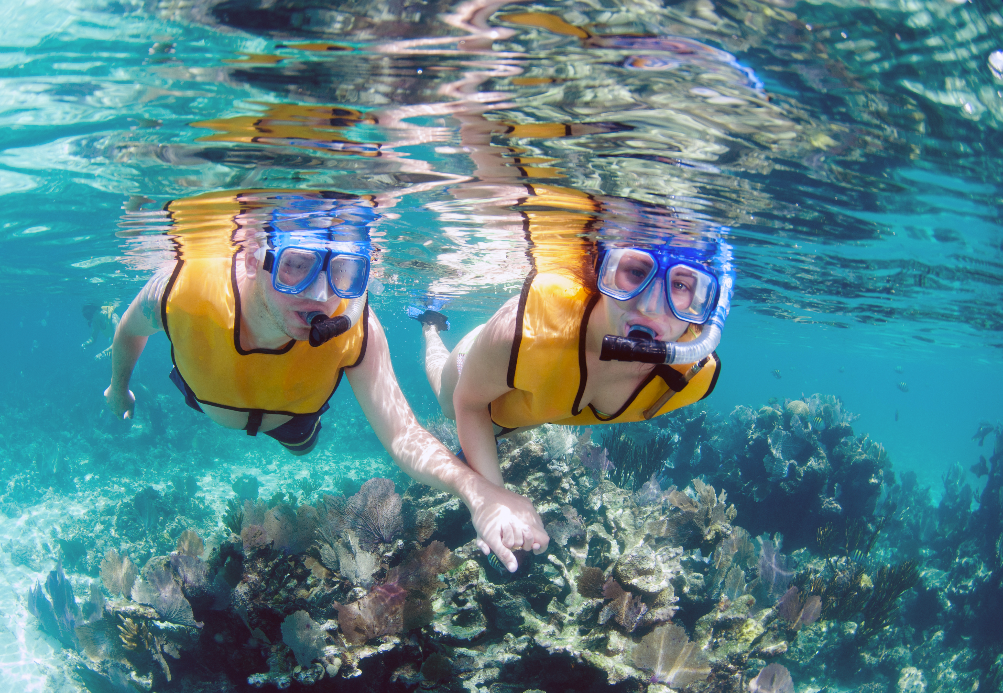 Couple snorkeling