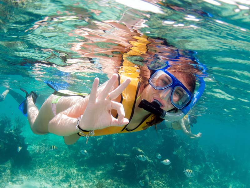 An Introduction to Snorkeling