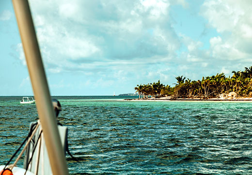 Six-Hour Private Snorkeling Charter
