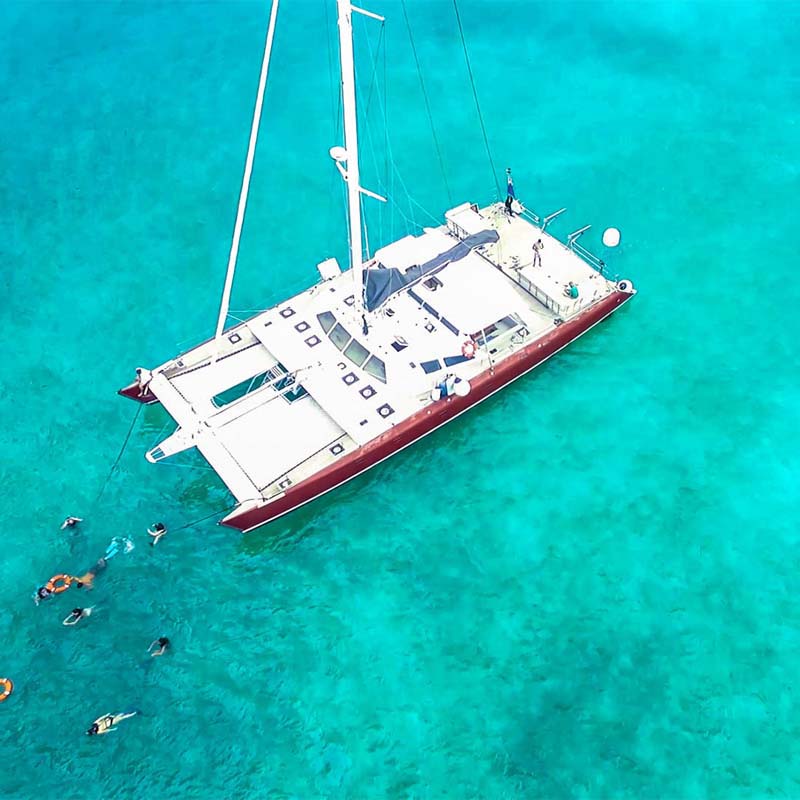 Paradise Catamarans